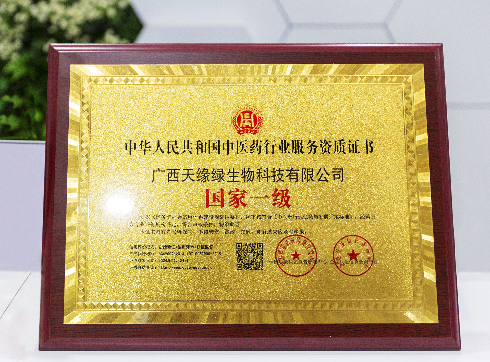 2024年-天緣綠集團(tuán)榮譽