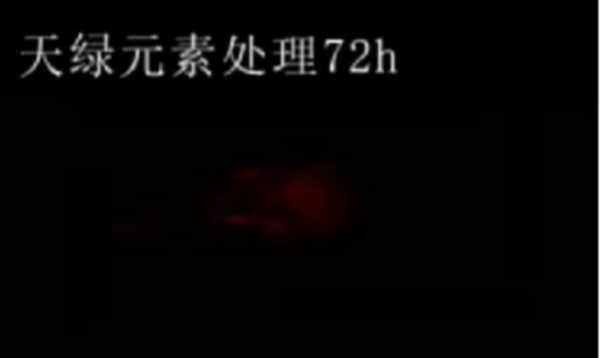 斑馬魚實驗天綠元素處理-72h.png 斑馬魚實驗天綠元素處理-72h.png